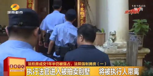 一法拍房遭疯抢，原房主竟是已故大毒枭，揭秘背后惊人真相