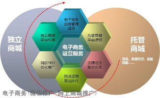 电子商务专业 一级学科