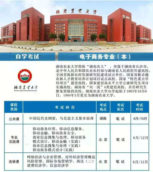 电子商务专业单招可以么